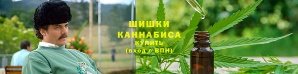 стаф Богородицк