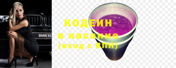 стаф Богородицк