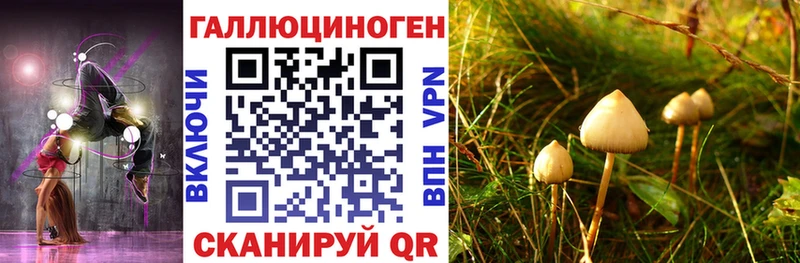 магазин продажи Болохово Псилоцибиновые грибы мицелий